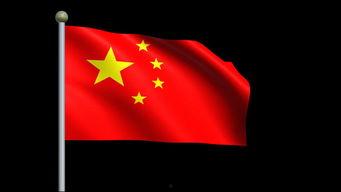 五星红旗爆料视频大全最新,最新爆料大全深度解析