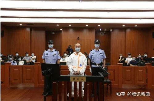 杭州爆料碎尸案件最新,真相逐步浮出水面，警方全力追查凶手踪迹
