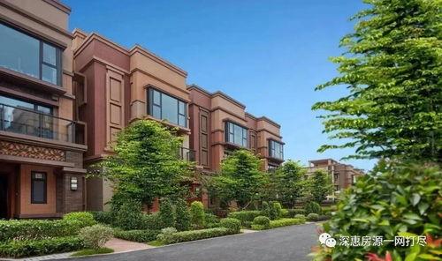 力华花园爆料最新消息,揭秘小区动态与神秘事件