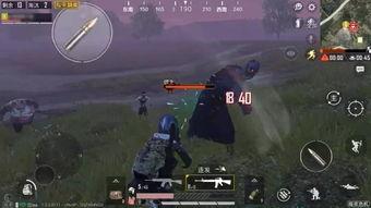 和平精英最新事件爆料,新版本爆料，神秘事件引发玩家热议！