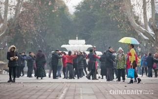 郑州一中爆料事件最新情况,真相大白，后续处理引关注